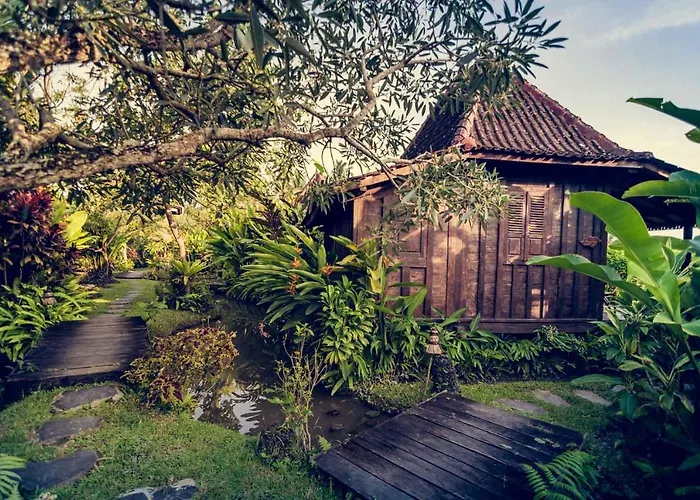 Dragonfly Village 3* Ubud (Bali)