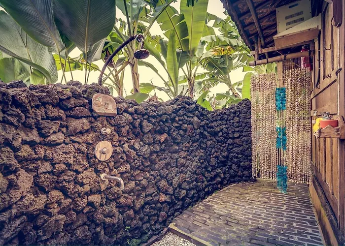 Dragonfly Village