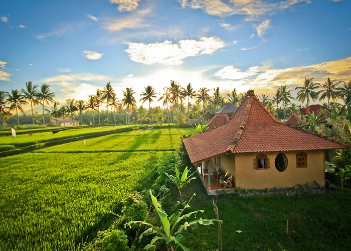 Dragonfly Village Ubud (Bali)