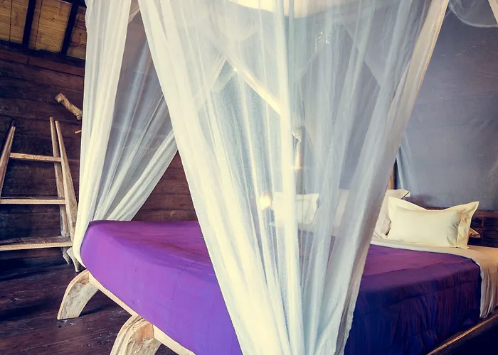 Dragonfly Village 3*