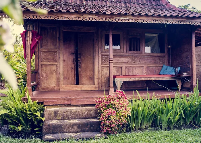 Dragonfly Village 3*