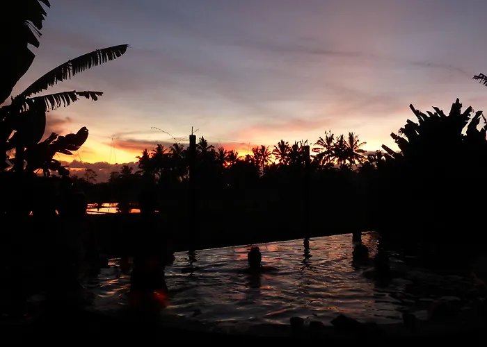 Dragonfly Village 3*