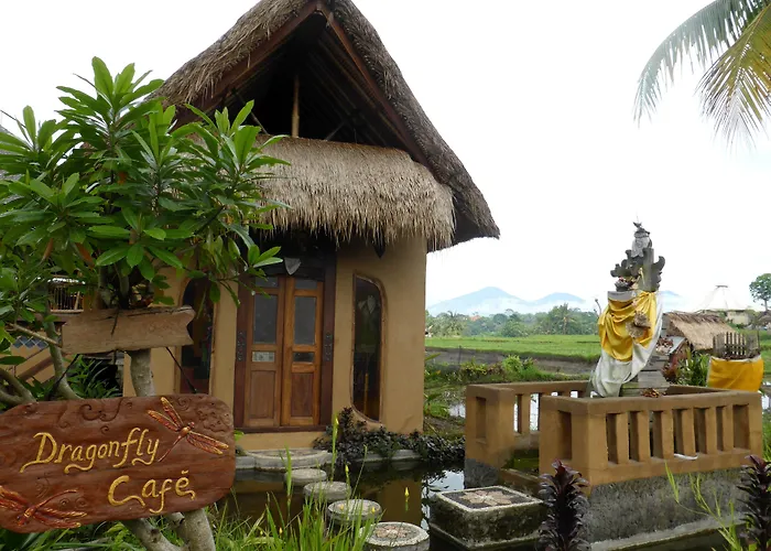 Dragonfly Village 3* Ubud (Bali)