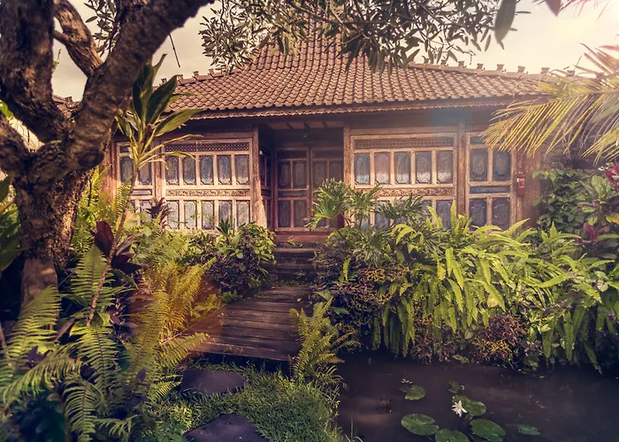 Dragonfly Village Holiday park Ubud (Bali)