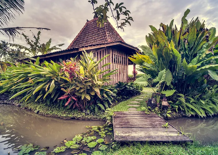 Dragonfly Village Holiday park Ubud (Bali)