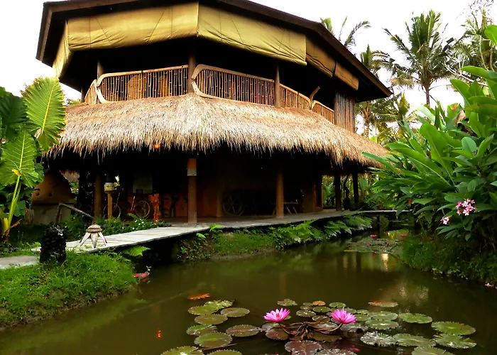 Holiday park Dragonfly Village