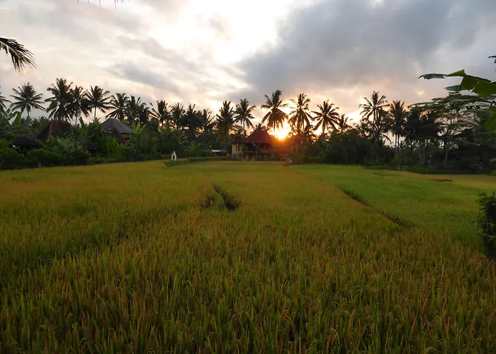 Dragonfly Village Ubud (Bali)