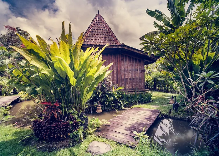 Dragonfly Village 3*