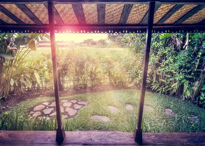 Dragonfly Village