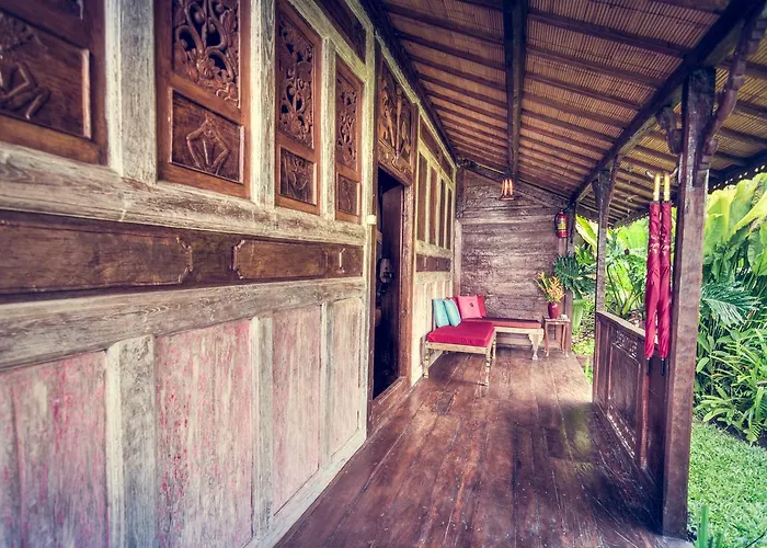 Dragonfly Village 3* Ubud (Bali)