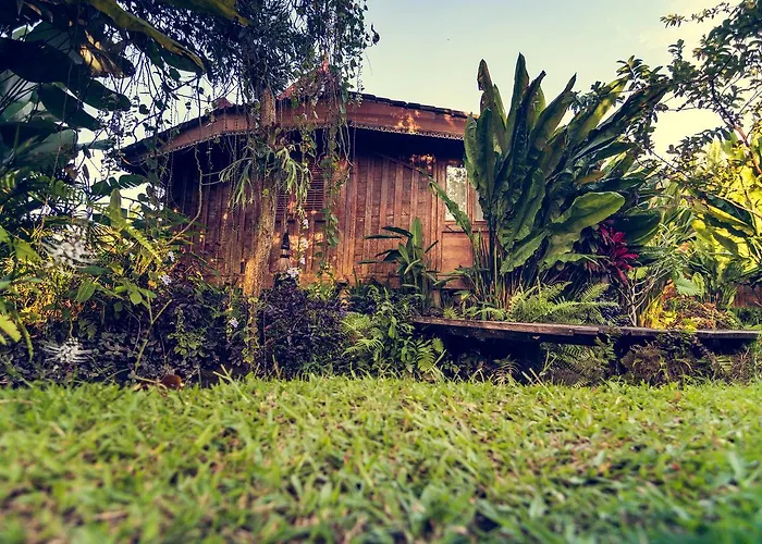 Dragonfly Village