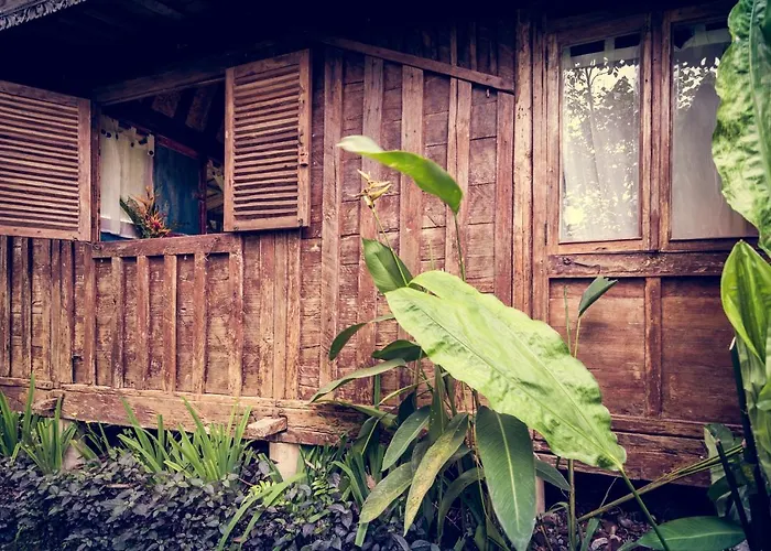 Dragonfly Village