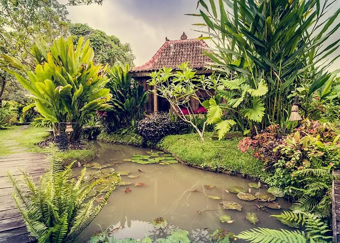 Dragonfly Village Ubud (Bali)