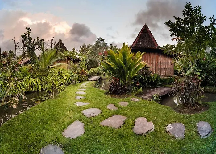 Dragonfly Village 3*
